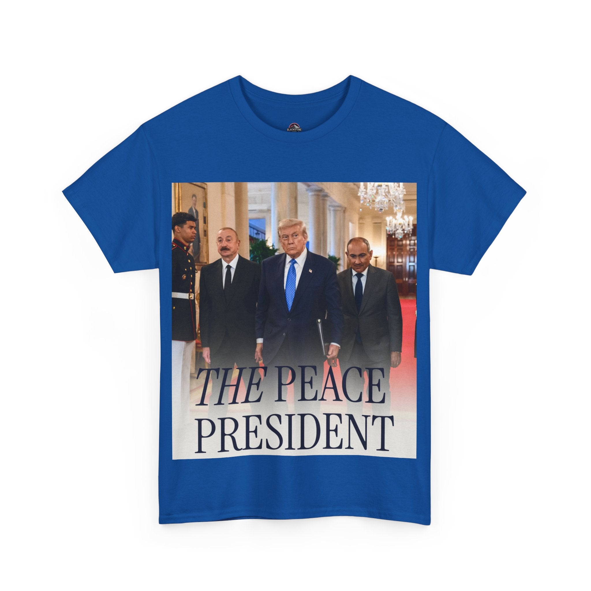 Political Statement Tee, Unisex Heavy Cotton Tee, Graphic T-Shirt, Statement Apparel, Gift for Activists, Trendy Top